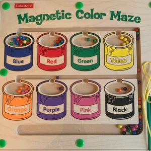 Color Sorting Magnet Toy